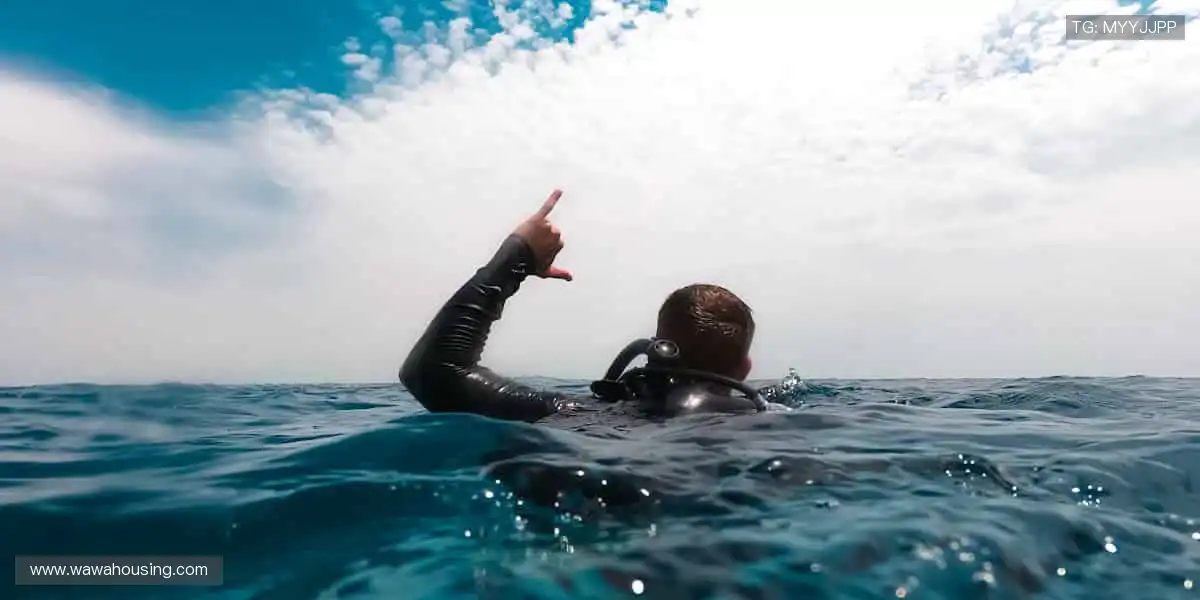 🏆热血赛事，即刻点燃你的热爱！